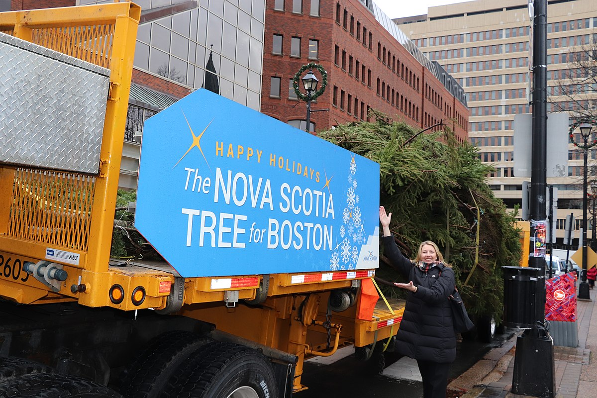 Boston y Nueva Escocia renuevan vínculo con árbol navideño