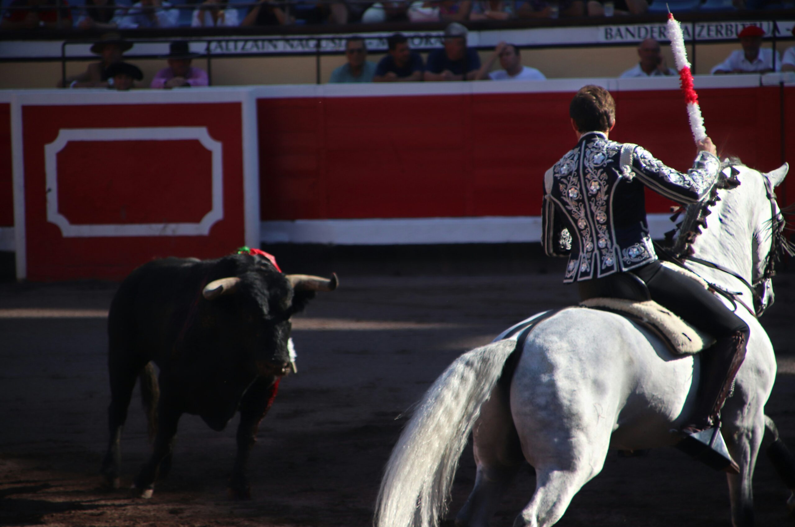 Legislación histórica: Ciudad de México Prohíbe las Corridas de Toros Violentas