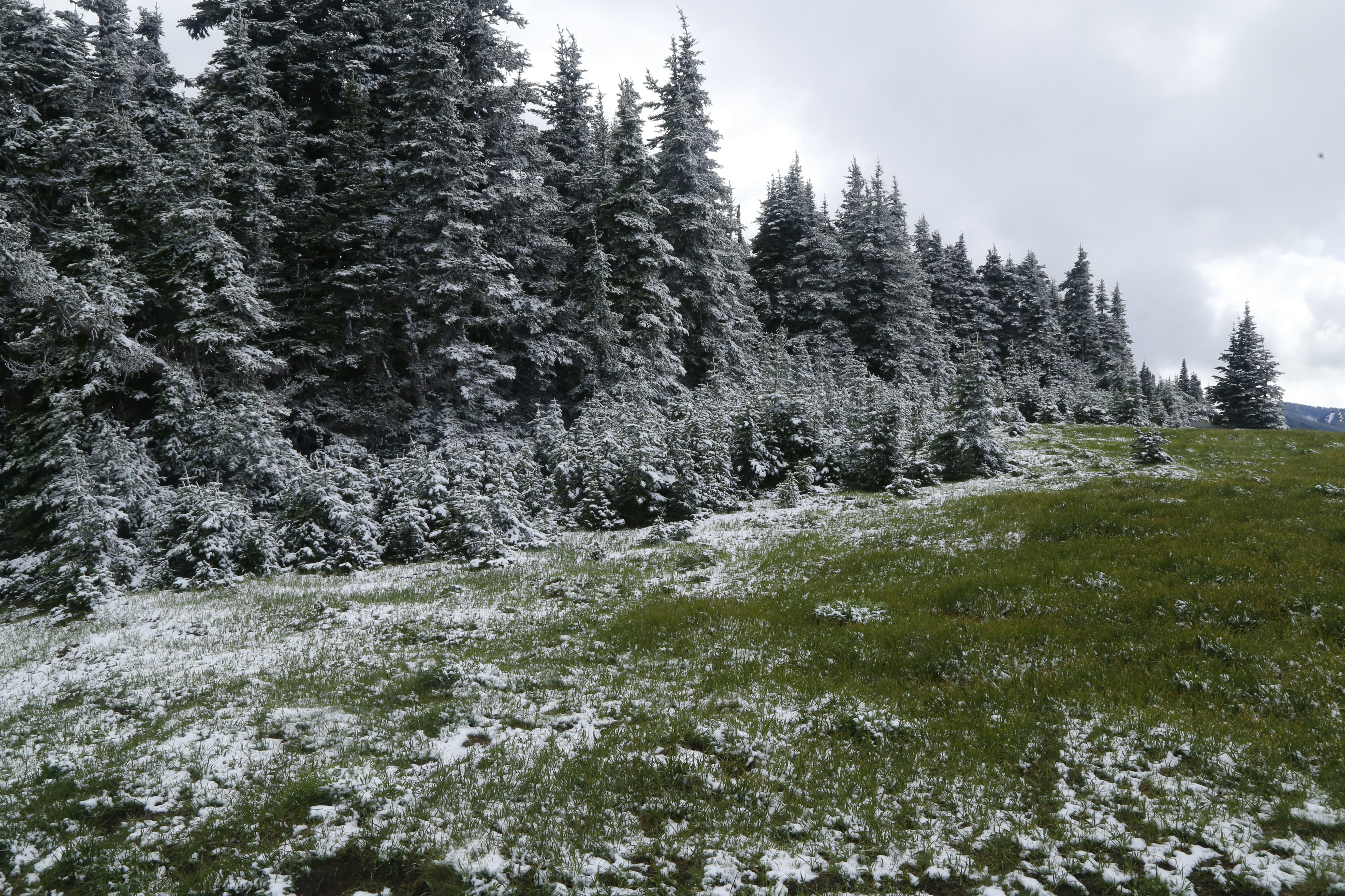 El invierno se adelanta sorpresivamente en el norte de EE.UU.