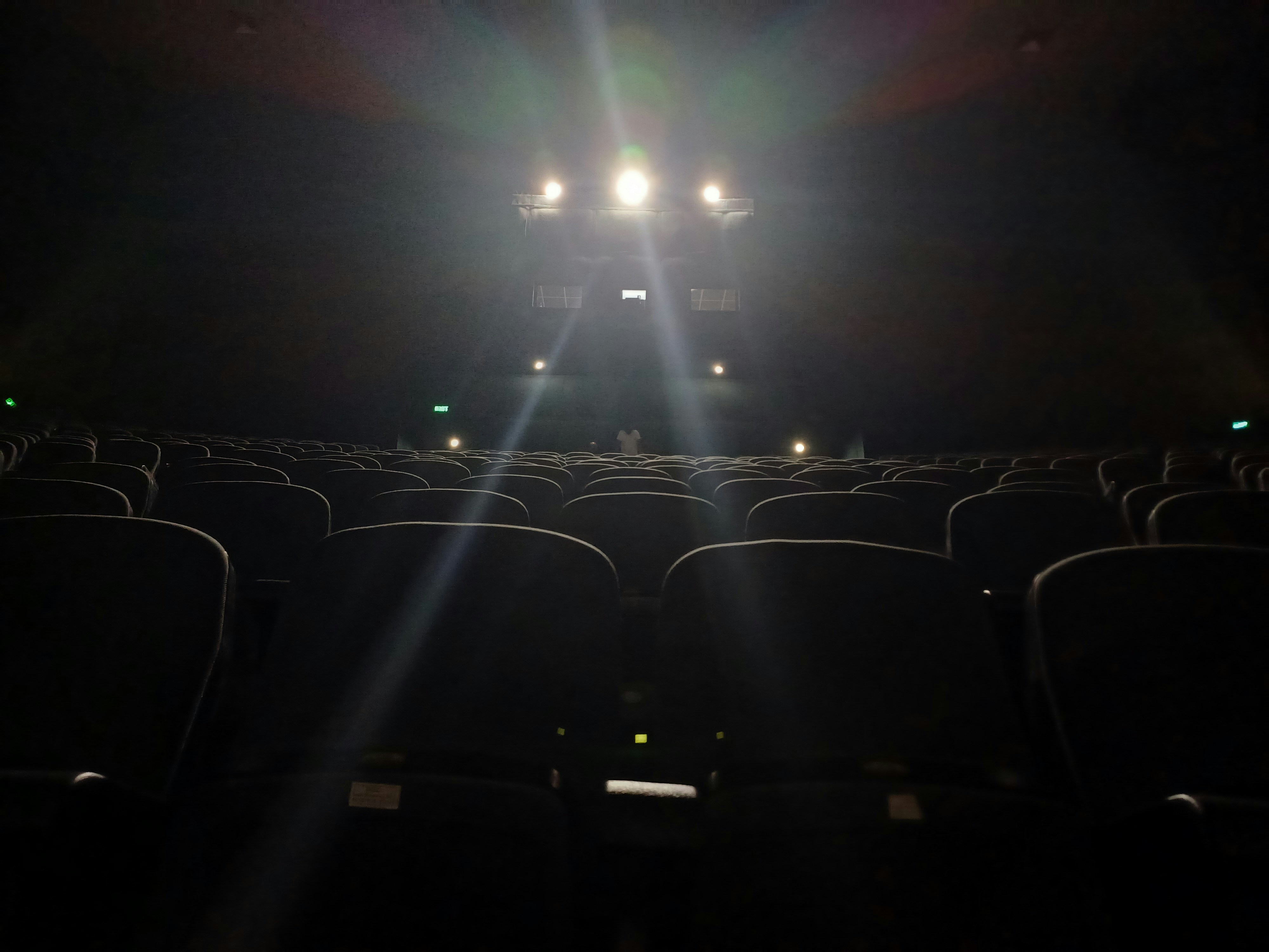 Good Boy: terror desde la mirada de un perro llega a los cines