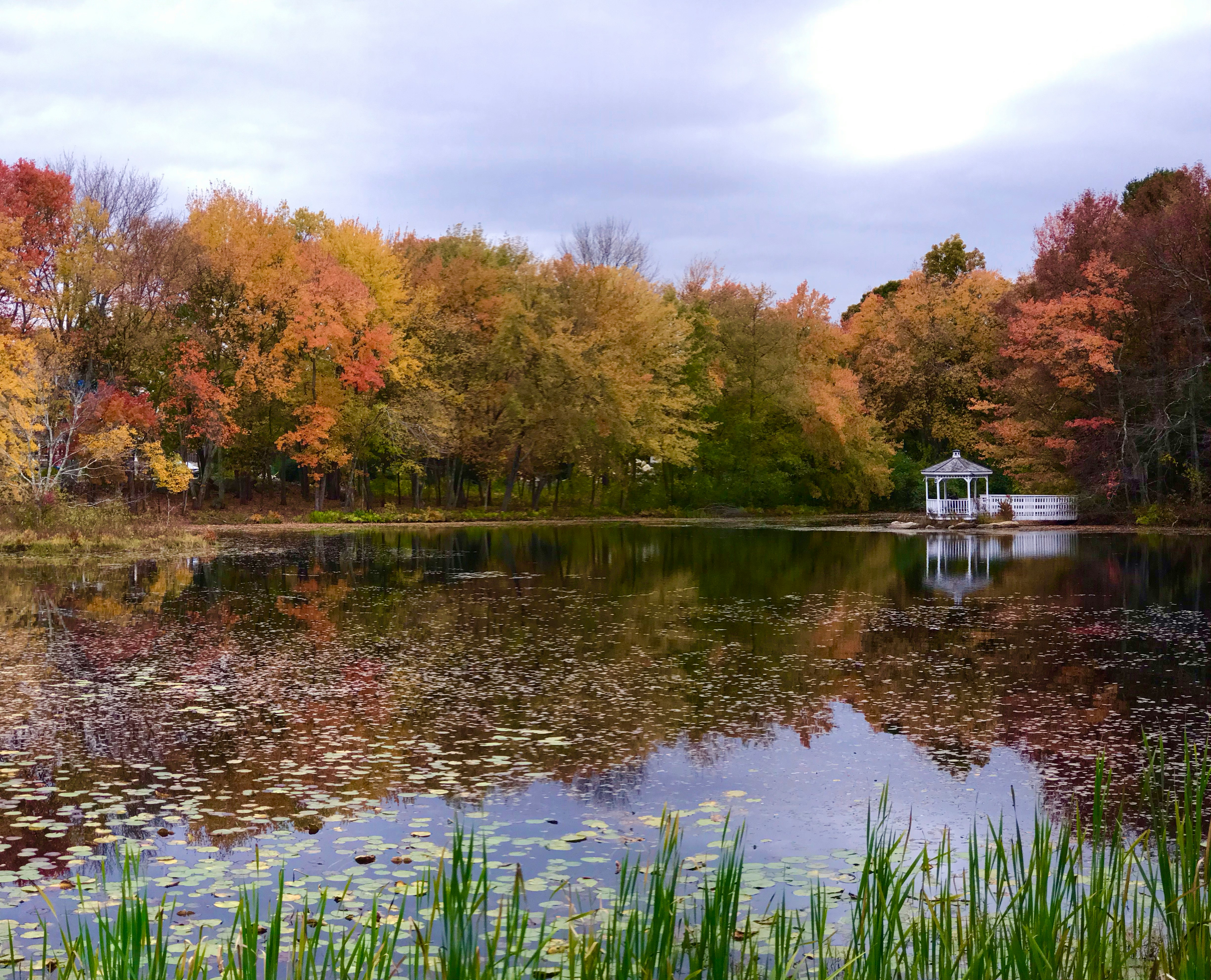EE.UU. da la bienvenida al otoño con el equinoccio de 2025