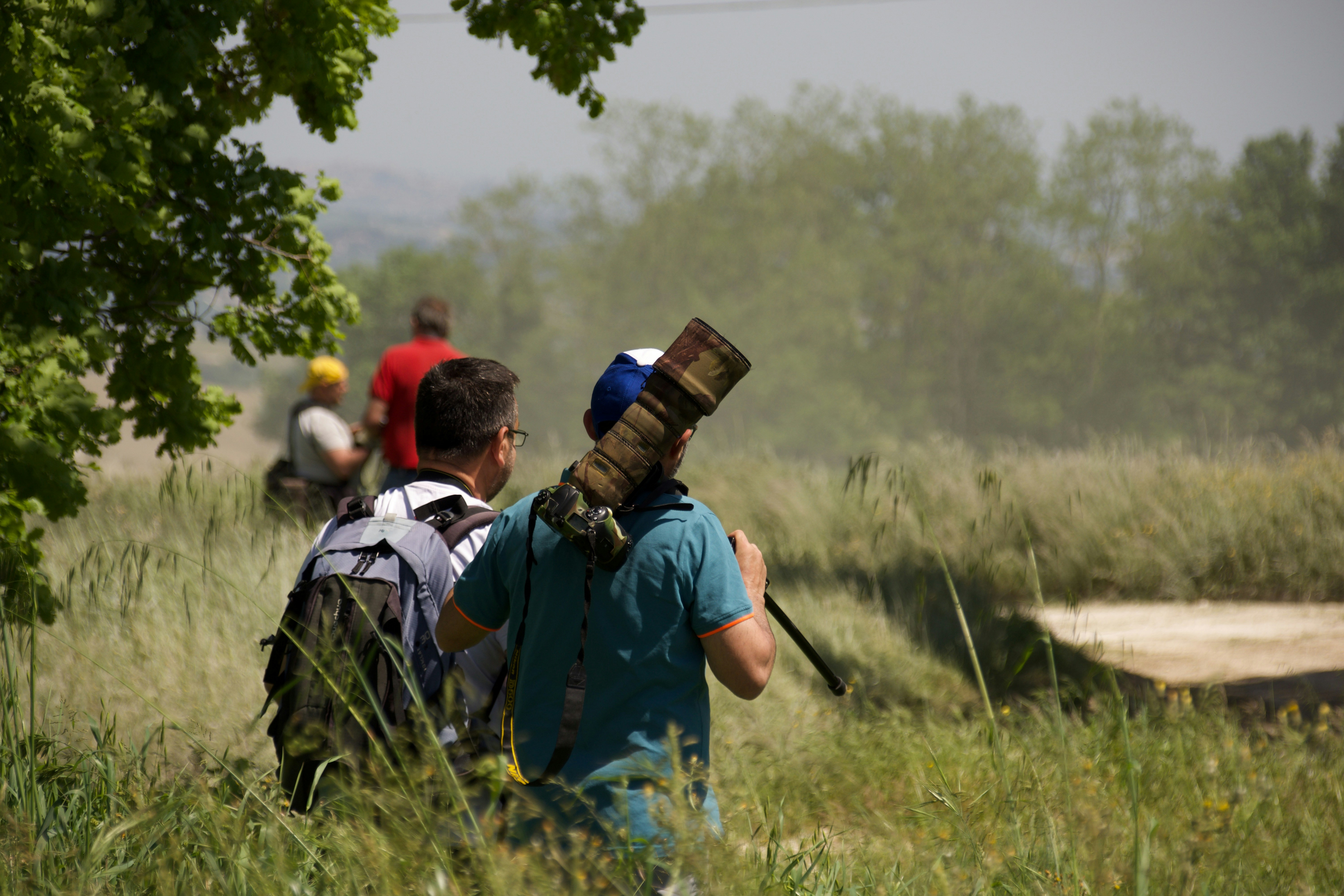 Migrantes retornan a sus países de origen