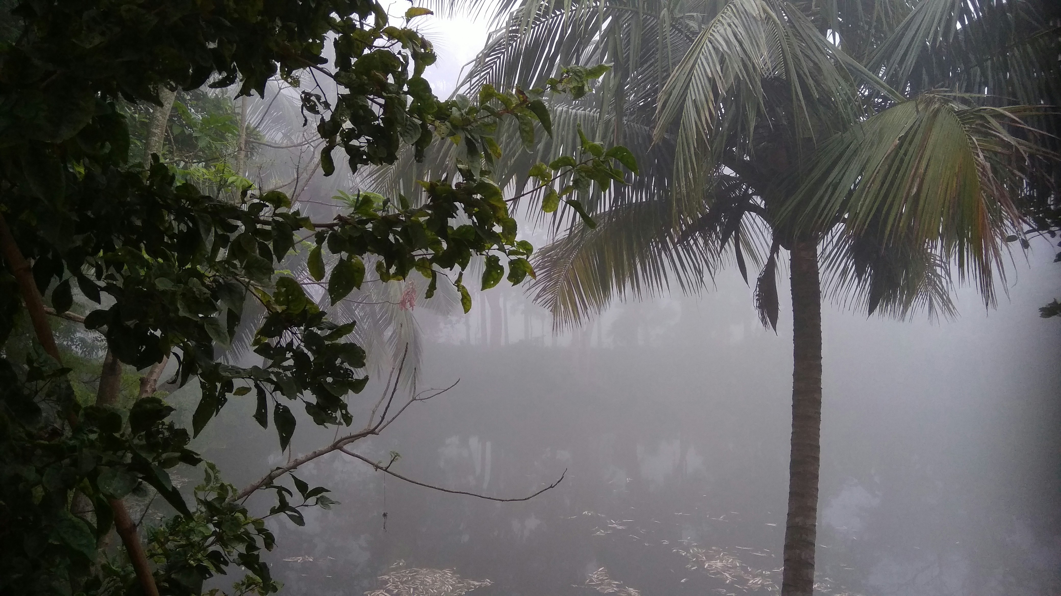 Tormenta Tropical Mario amenaza costas de México